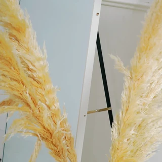 מראת גוף אובלית עומדת עם סטנד עשוי ממסגרת אלומיניום אל חלד צבע לבן מט וניתן גם לתלות אותה רוחב 70 ס"מ גובה 180 ס"מ דגם LM-15W