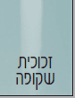 מקלחון 1173CH פינתי שתי דלתות נפתחות פנים חוץ דלת מגיעה עם ידית כפתור והשניה ידית למגבת פרופיל ניקל